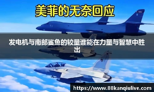88看球体育直播