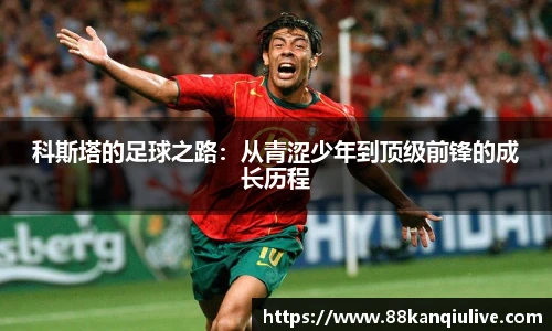88看球体育直播